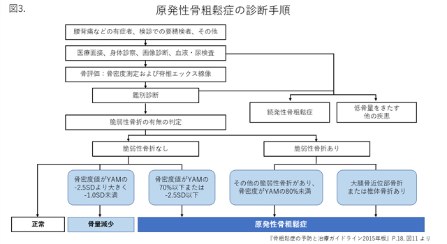 原発性骨粗鬆症の診断手順